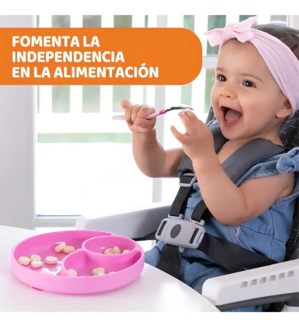 Plato con divisiones y sopapa rosa chicco -