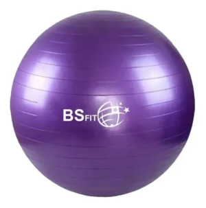Pelota de esferodinamia violeta 85cm *
