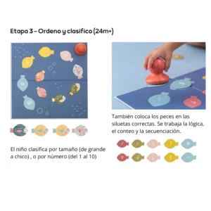 Juguete didáctico pesca magnética para bebés taf toys
