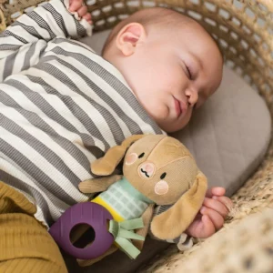 Sonajero sensorial colgante con mordillo conejito taf toys